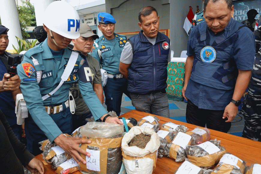 Dikejar Tim XQR TNI AL, Jaringan Narkoba Buang 13,4 Kg Ganja ke Laut