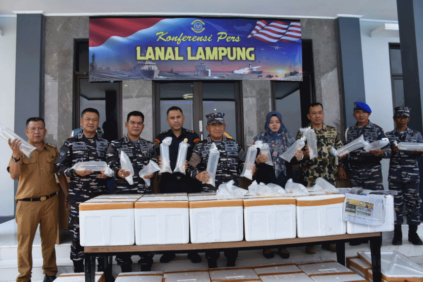 Penyelundupan Benih Bening Lobster Digagalkan Lanal Lampung