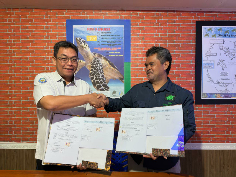 Lindungi Habitat Penyu di Raja Ampat, KKP Gandeng Yayasan Penyu Papua
