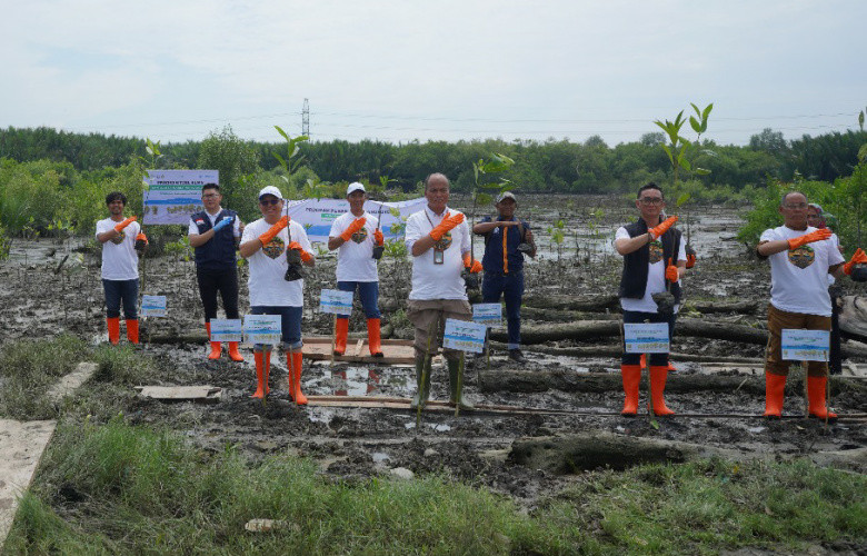 PTP Nonpetikemas Dukung SMTP Tanam 11.000 Mangrove di Medan