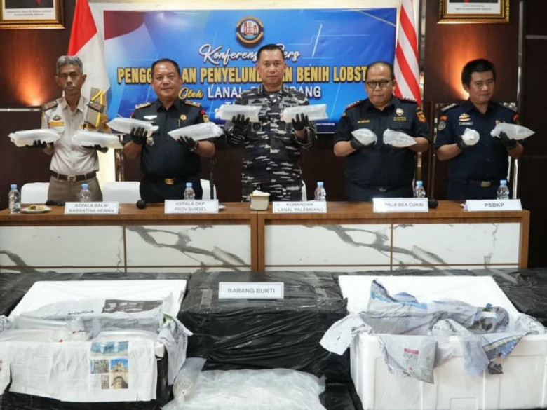 Dor! Tembakan Peringatan TNI AL Gagalkan Upaya Penyelundupan 125.000 Benih Bening Lobster di Perairan Jambi