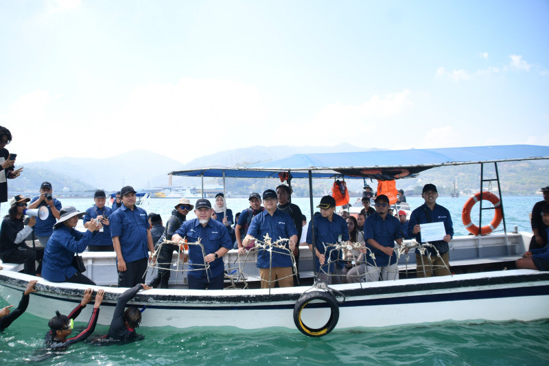 Peduli Lingkungan Laut, Pelindo Regional 2 Banten Gelar Konservasi Terumbu Karang di Pulau Merak Besar