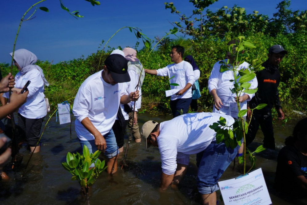 Peduli Lingkungan, SPJM Pelindo Tanam Mangrobe di Pantai Pokko